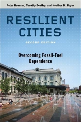 Resilient Cities