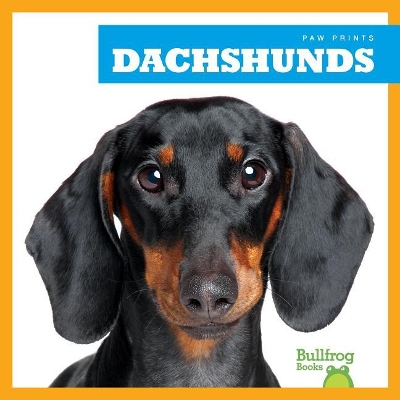 Dachshunds