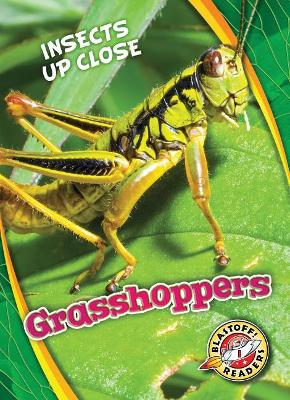 Grasshoppers