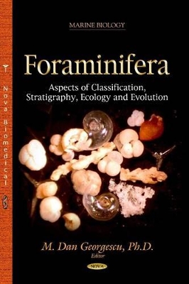 Foraminifera