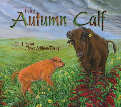 The Autumn Calf