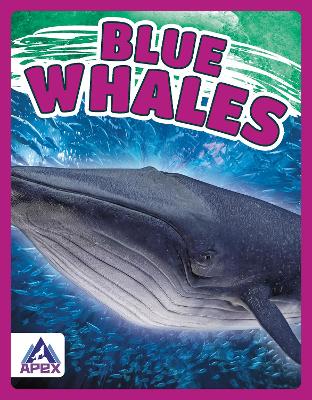 Blue Whales