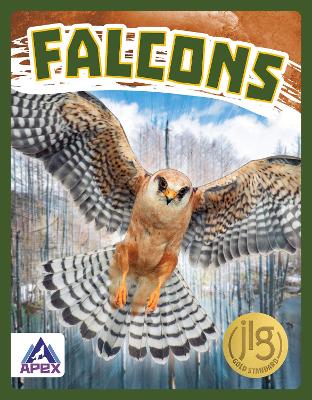 Birds of Prey: Falcons