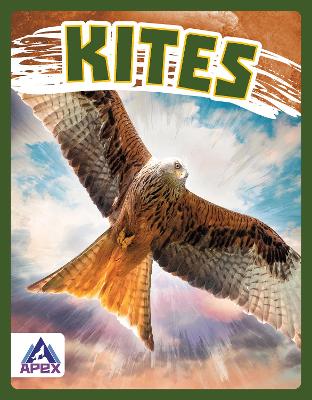 Birds of Prey: Kites