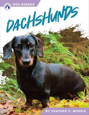 Dachshunds. Hardcover