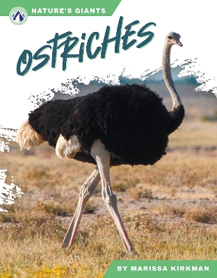 Ostriches. Paperback