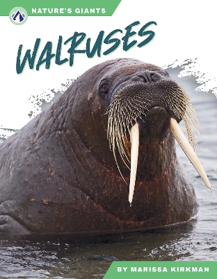 Walruses. Paperback