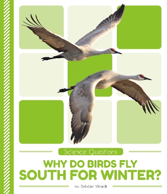 Science Questions: Why Do Birds Fly South for Winter?