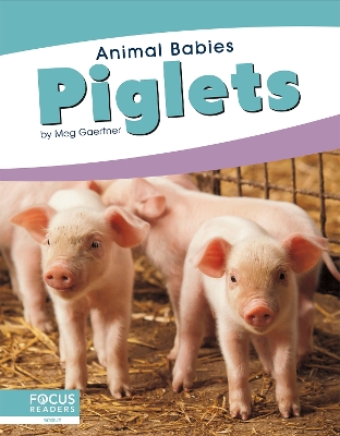 Piglets