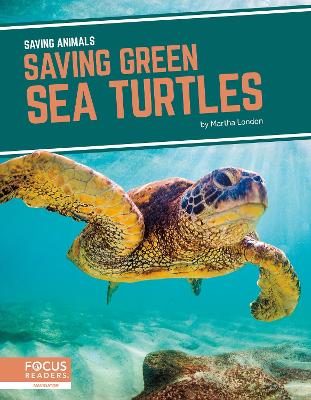 Saving Green Sea Turtles