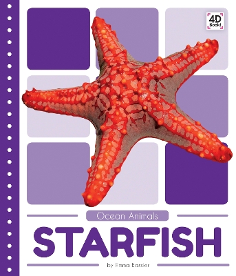 Ocean Animals: Starfish