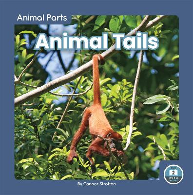 Animal Parts: Animal Tails