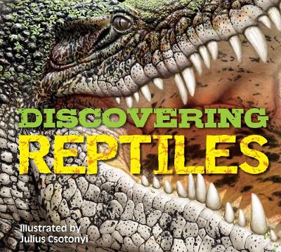 Discovering Reptiles