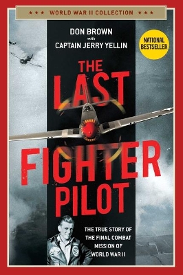 The Last Fighter Pilot