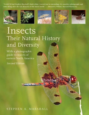 Insects: Their Natural History and Diversity