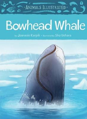 Bowhead Whale