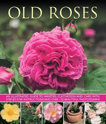 Old Fashioned Roses