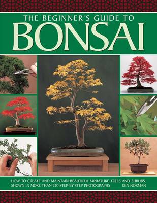 Beginner's Guide to Bonsai