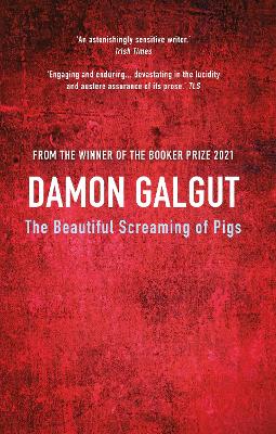 the promise damon galgut amazon