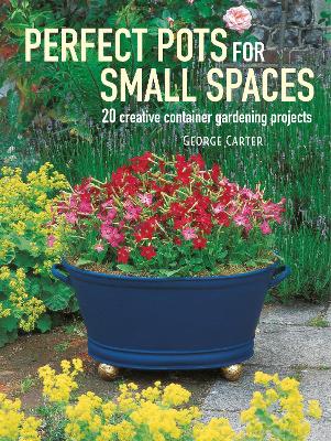 Perfect Pots for Small Spaces