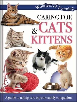 Caring for Cats & Kittens