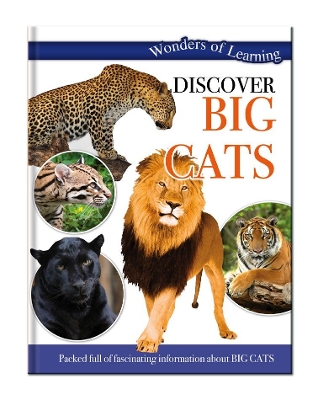 Discover Big Cats