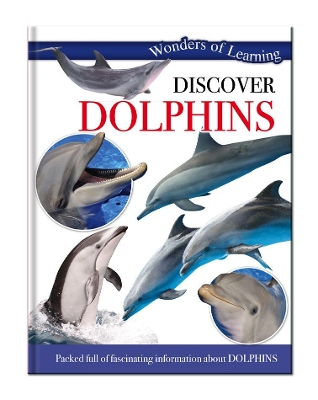 Discover Dolphins