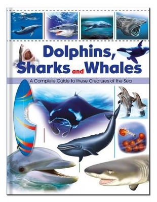 Dolphins, Sharks & Whales