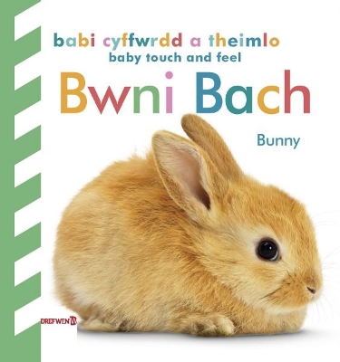 Babi Cyffwrdd a Theimlo: Bwni Bach / Baby Touch and Feel: