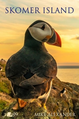 Skomer Island -