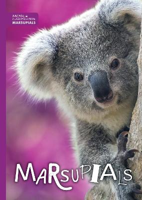 Marsupials