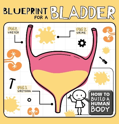 Blueprint for a Bladder