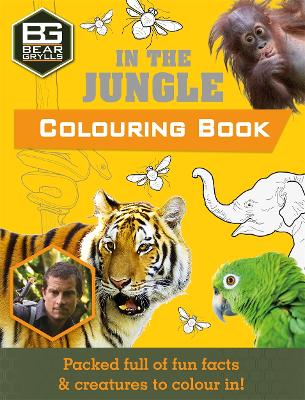 Bear Grylls Colouring Books