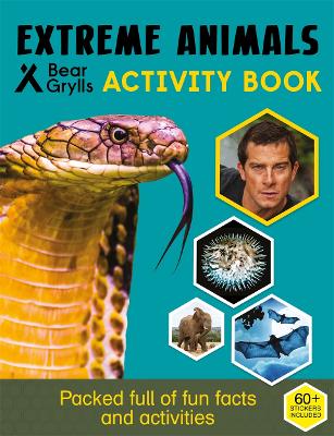 Bear Grylls Sticker Activity