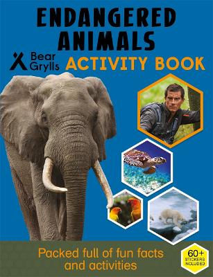 Bear Grylls Sticker Activity