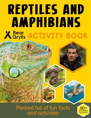 Bear Grylls Sticker Activity