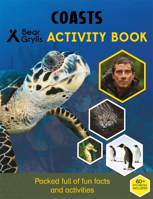 Bear Grylls Sticker Activity