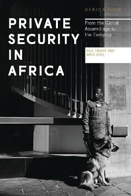 Private Security in Africa