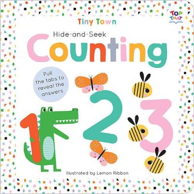 Hide-and-Seek Counting