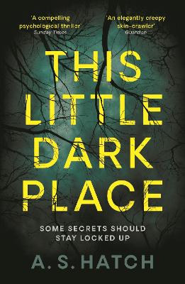 This Little Dark Place