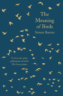 The Meaning of Birds