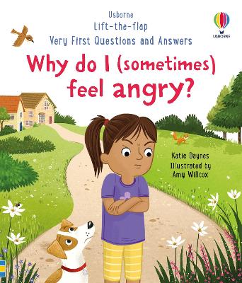 Why Do I (Sometimes) Feel Angry?