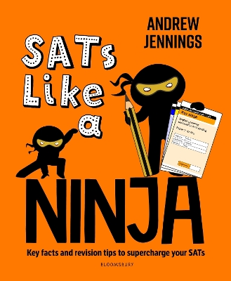 SATs Like a Ninja