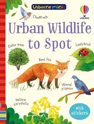 Urban Wildlife to Spot