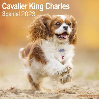 Cavalier King Charles Spaniel 2023 Wall Calendar