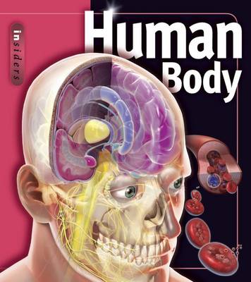 Human Body