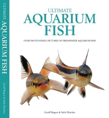 Ultimate Aquarium Fish