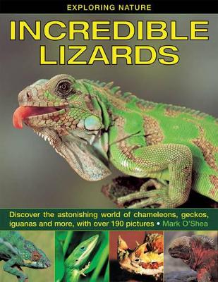 Exploring Nature: Incredible Lizards