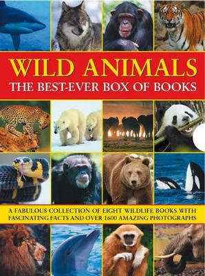 Wild Animals Best Ever Box of Books