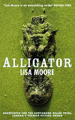 Alligator